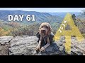 Why am i running  day 61  appalachian trail