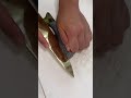 池のバス全部食べる！（バスグラタン）