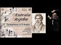 Capture de la vidéo Antonín Rejcha: Symphony In D Major, Dvořák Chamber Orchestra, Petr Altrichter