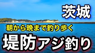 Ibaraki Fishing] Fishing around the fishing port in September from