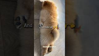 Dont You Know That U Should Never Ask A Girl About Her Age?