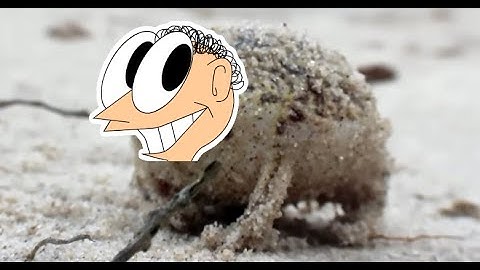 A very angry Matthew Littlemore