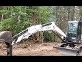 Clearing land for a house day 2!!!