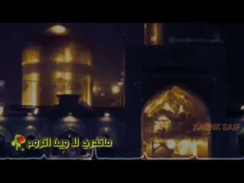 مهمومة#هاليله الروح محتارة مابين اثنين#قبر الرضا#قبر حسين/باسم الكربلائي