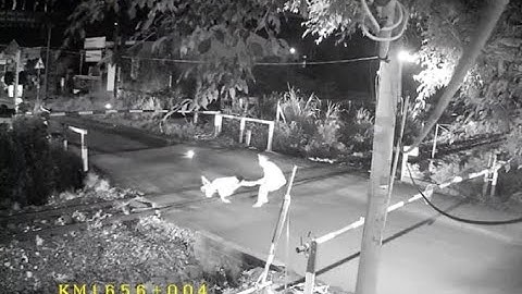 Clip nhân viên gác chắn Trịnh Văn Tài cứu người ngã trên đường ray ngay trước mũi tàu