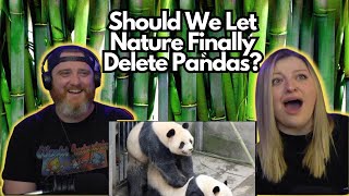 Should We Let Nature Finally Delete Pandas mndiaye - 97 HatGuy gnarlynikki React