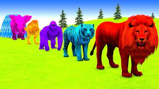 Playing As Spiderman In Mive Long Slide Game With Cow Elephant Gorilla- 3D Animal Game - Funny 3D