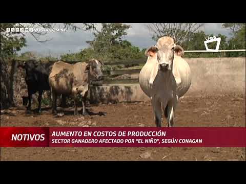 Costos de producción