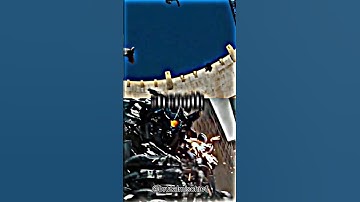 Megatron vs Shockwave #transformers #megatron #shockwave #shorts #edit #comparison #vs #vsbattle