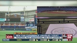 607 Rays Opening Day 2014