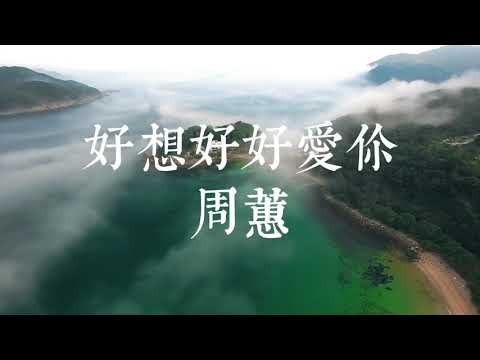 好想好好愛你/周蕙