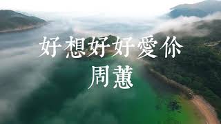 好想好好愛你/周蕙
