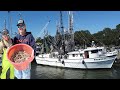 Big shrimpin part 2  commercial shrimp boat ridealong catch and cook