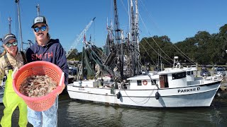 BIG SHRIMPIN’ part 2  Commercial Shrimp Boat RideAlong (Catch and Cook)