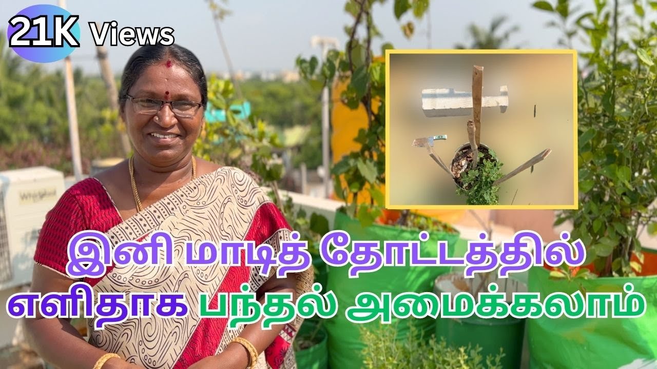 Maadi Thottam | இனி மாடித் தோட்டத்தில் எளிதாக பந்தல் அமைக்கலாம்✨  