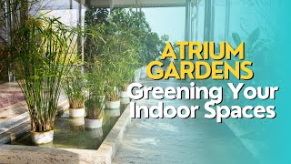 Atrium Gardens: Greening Your Indoor Spaces
