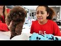 TIANA CRIED!! CHRISTMAS PUPPY SURPRISE