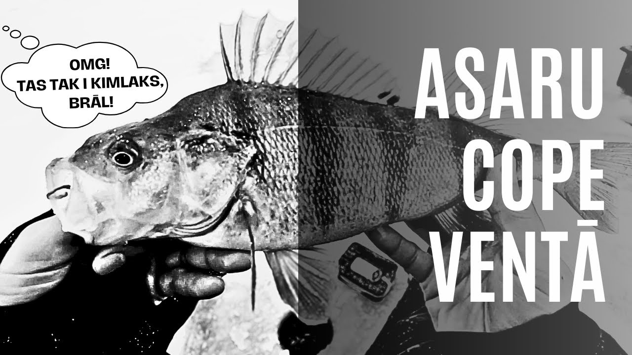 KĀ NOĶERT ASARI VENTĀ? 😎 0.08mm aukla + 6m dziļums = 39cm KIMLAKS 🤏