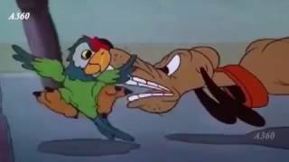 Mickey, Pluto And Verminnew Cartoon 2017