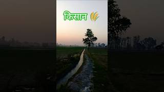 #KhetiKhajana #VillageLife #GreenField #MorningView #Farming