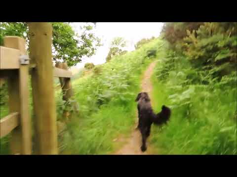 Ambient Telly - walking Winston's Path