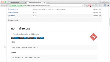 1 Normalize css