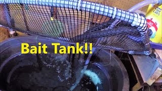 Why You SHOULD Have a Bait Tank and How I Made Mine!