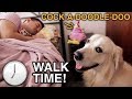 My Dog Wakes Me for a Walk