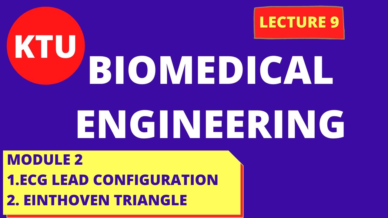 ECG LEADS || KTU BIOMEDICAL ENGINEERING || MODULE 2 || LECT 9 - YouTube