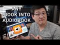 Make Any eBook an Audiobook on iPad or iPhone