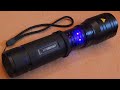 Crazy torch with insect zapper (what's inside)