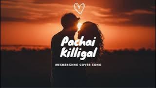Pachai killigal - cover song I Hanan shah (Slow Loop MODE) - #Hananshah #tamiltrending