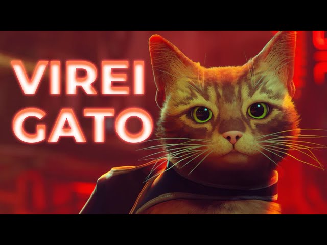 Novo jogo do Gato é confirmado #straygame #nintendoswitch