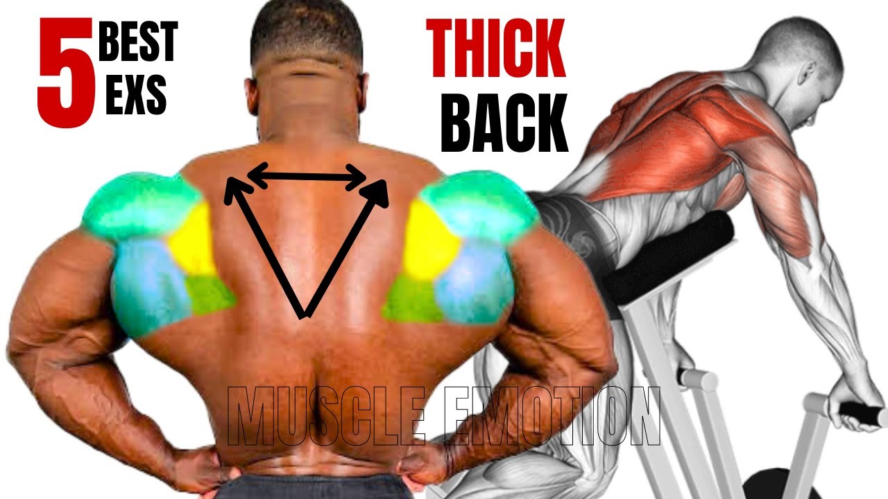 5 BEST THICKNESS BACK EXERCISES AT GYM 