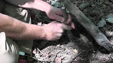 No String Pauite Deadfall