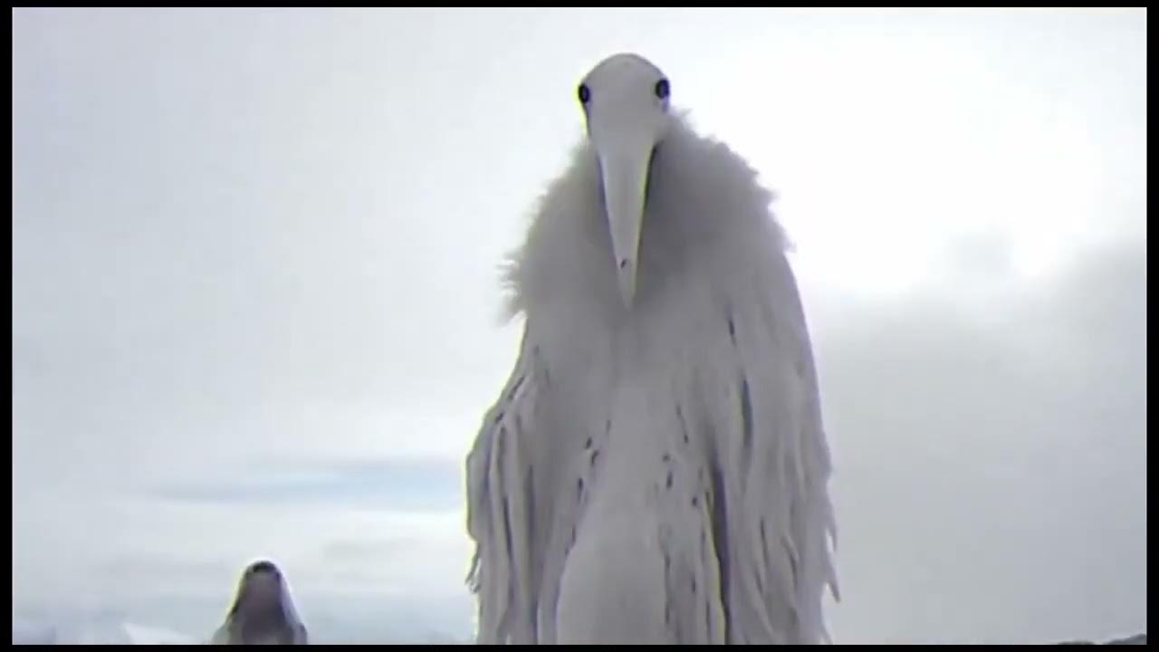 ОТКУДА МЕМ 2027 ГОДА // Что за мем из 2027 года теория #мемиз2027 #мем #мем2027