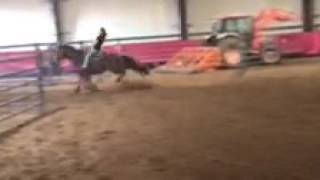 Tiny Cracker Jack- Twisted W Palmyra Mo