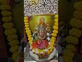 Offering Lotus to Ma Lakshmi on Diwali | Laxmi Puja | Goddess of Wealth | कमल | दिवाळी | माँ लक्ष्मी