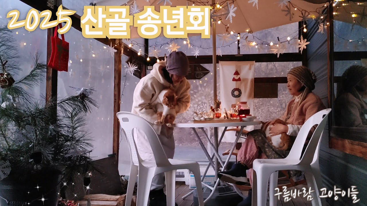 여섯 냥이와 함께한 연말파티, 무릎에서 잠든 아픈 고양이 때문에 꼼짝못해 밤까지 이어진 송년회^^;  새해 복 많이 받으세요~