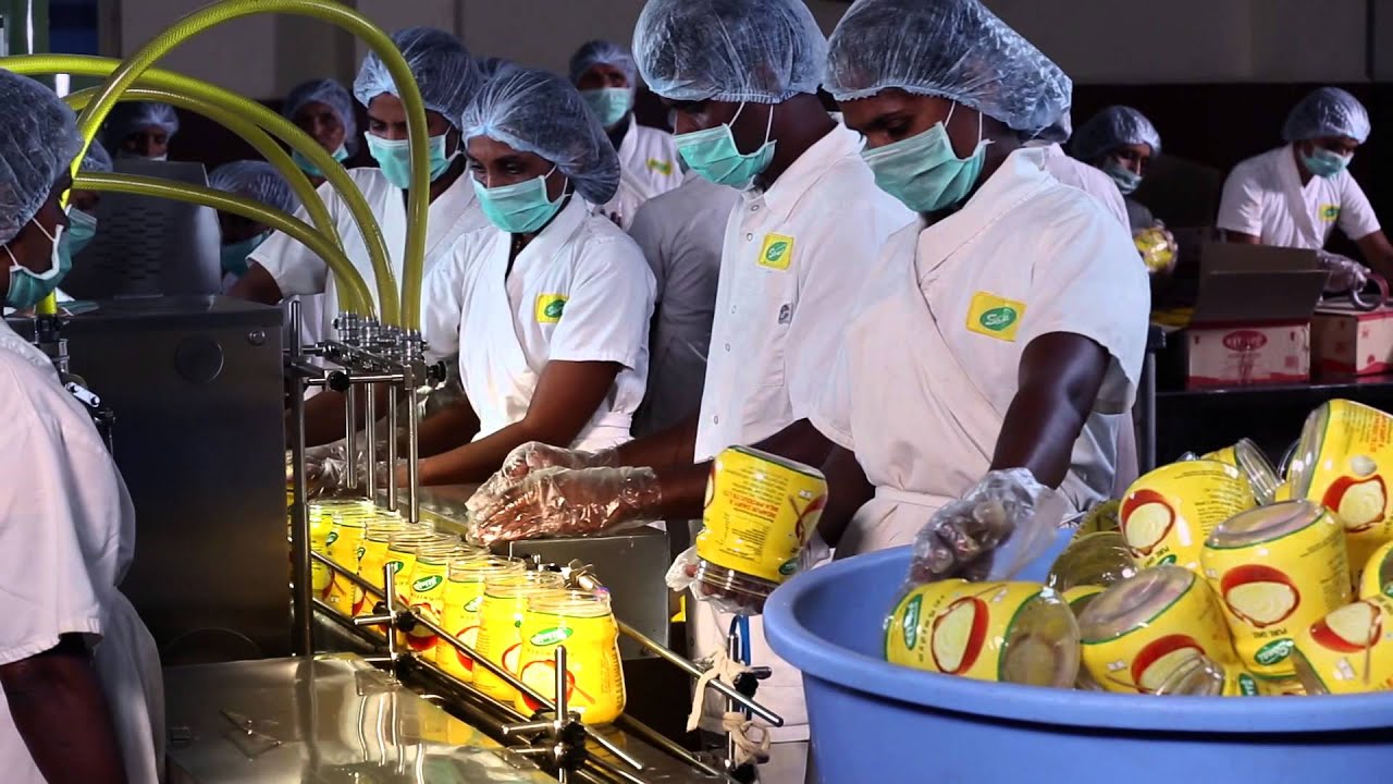 Sonai Dairy Farm English Master