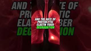 How age-related Elastin degradation in the lungs contributes to COPD #shorts