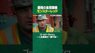 最強の金採掘機 #shorts #ディスカバリーチャンネル #gold #金