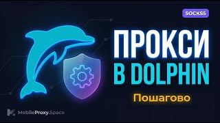 Настройка прокси в Dolphin Anty — пошаговый гайд | MobileProxy.Space
