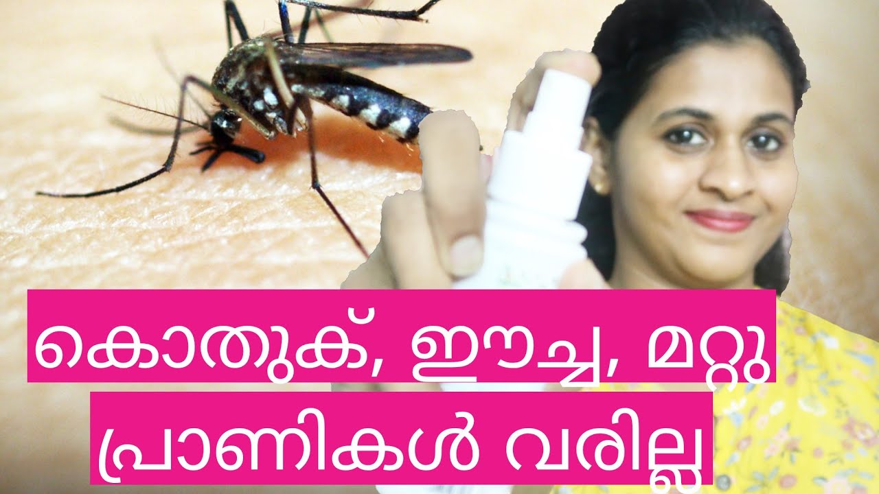 Best Mosquito and bug repellent spray for babies Malayalam YouTube