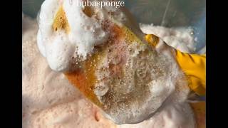 Grout Sponge Squeezing