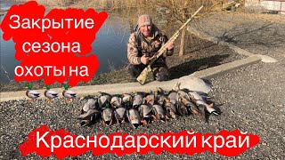 ОХОТА на УТКУ 🦆🦆🦆20.01.2023! Закрытие сезона удалось на славу. #охотанаутку