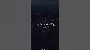 اكتب شي تؤجر عليه 🤍 | القارئ عبدالرحمن مسعد | قرآن كريم