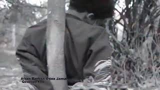 Afran Barkoo odaa jamaal oromo music 2020