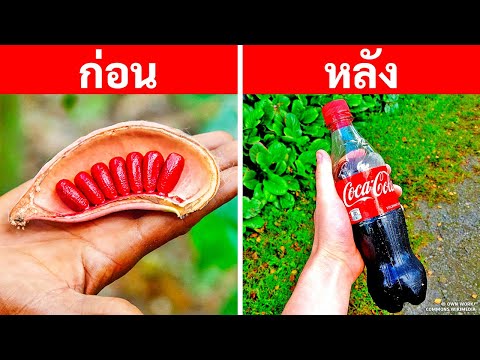 ของใช้ประจำวัน 19 ชนิดที่คุณอาจไม่เคยรู้มาก่อนว่ามันผลิตอย่างไร