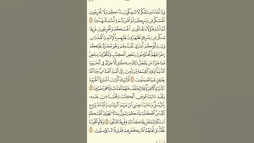 {سورة البقرة} (١٣)
